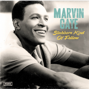 Marvin Gaye - Stubborn Kind of Fellow - Wagran