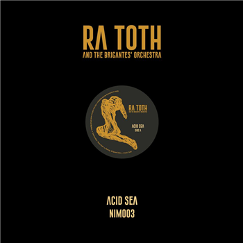 Ra Toth and The Brigantes – Acid Sea - New Interplanetary Melodies