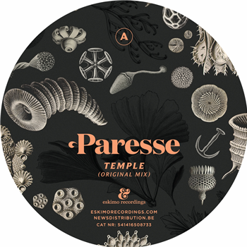 PARESSE - TEMPLE (SIMPLE SYMMETRY REMIX) - ESKIMO RECORDINGS