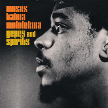 Moses Taiwa Molelekwa - Genes And Spirits - MATSULI