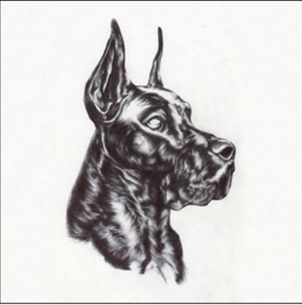Great Dane - Alpha Dog - Dome of Doom Records
