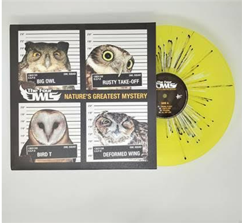 THE FOUR OWLS - NATURE’S GREATEST MYSTERY (2 X LP) - High Focus Records