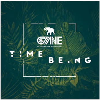 Cyne - Time Being (3 X LP) - Mooncircle