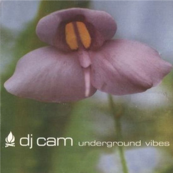 DJ CAM - UNDERGROUND VIBES - Inflamable