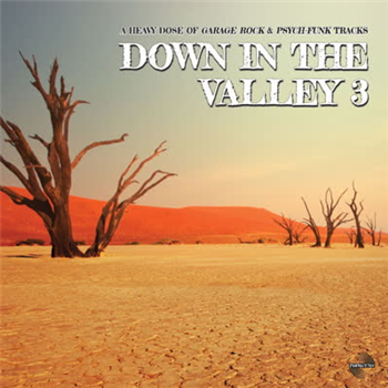 Various Artists - Down In The Valley 3 - Perfect Toy