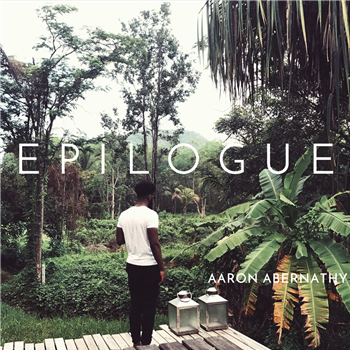 Aaron Abernathy - Epilogue (2XLP)  - Aaron Abernathy