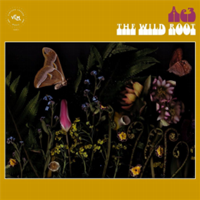 Ae3 (Alan Evans Trio) - The Wild Root (180 Gram LP) - Vintage League Music