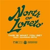 North Of Loreto  - This Is What You Get  - Com Era Records 