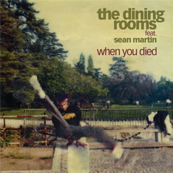 The Dining Rooms - When You Died (feat. Sean Martin) - Schema