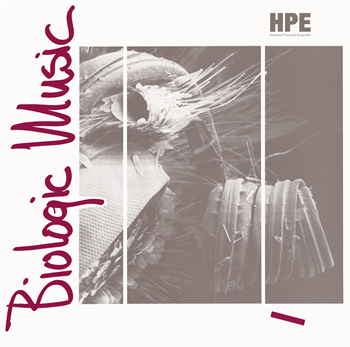 HEERLENS PERCUSSIE ENSEMBLE - BIOLOGIC MUSIC - Hot Mule