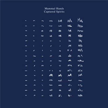 Mammal Hands - Captured Spirits (2 X LP) - Gondwana Records