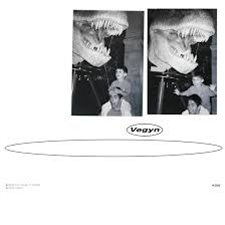 VEGYN - ONLY DIAMONDS CUT DIAMONDS (Artwork Sleeve) - PLZ Make It Ruins