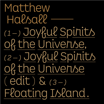 Matthew Halsall - Joyful Spirits of the Universe - Single - Gondwana Records