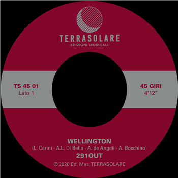 291out - Wellington - Terrasolare