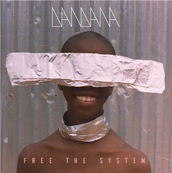 DANDANA - FREE THE SYSTEM - REBEL UP RECORDS