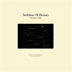 Natureboy Flako - Ambitus Of Beauty (LP) - HHV