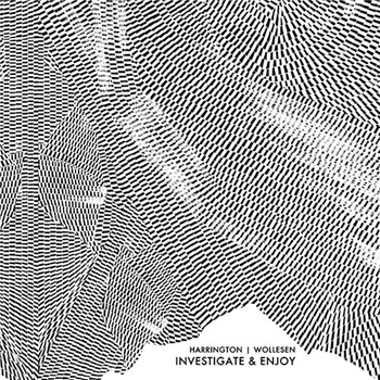 Dave Harrington / Kenny Wollesen - Investigate & Enjoy - Pique-Nique Recordings