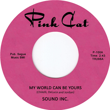 Sound Inc. - My World Can Be Yours - Pink Cat