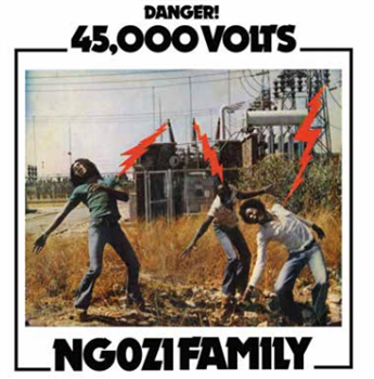 Ngozi Family - 45,000 Volts  - Now-Again Records 
