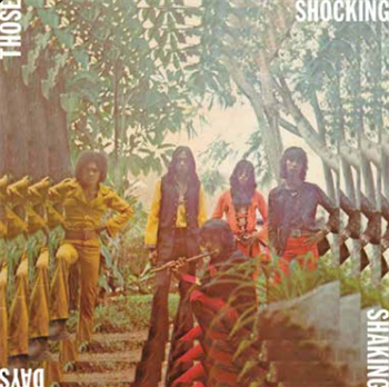 Various Artists - Those Shocking Shaking Days  - Now-Again Records 