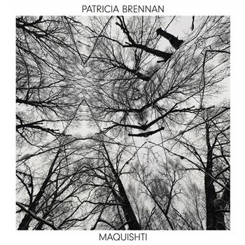 Patricia Brennan - Maquishti - Valley Of Search