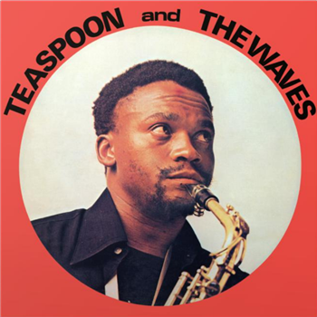 TEASPOON AND THE WAVES - TEASPOON AND THE WAVES - Mr Bongo Records