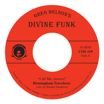 Birmingham Traveleers / Gospel Ambassadors - Cultures Of Soul