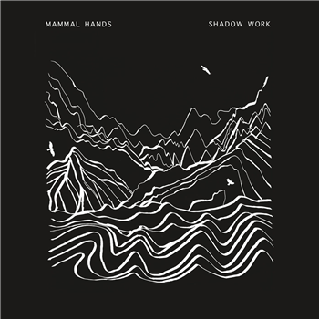 Mammal Hands - Shadow Work (2 X Clear Vinyl) - Gondwana Records