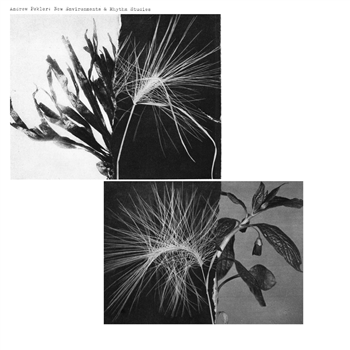 Andrew Pekler - New Environments & Rhythm Studies - Faitiche Andrew Pekler - New Environments & Rhythm Studies - Faitiche