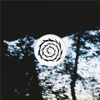 Spool (Florian TM Zeisig) - Spool - LP - Somewhere Press Spool (Florian TM Zeisig) - Spool - LP - Somewhere Press