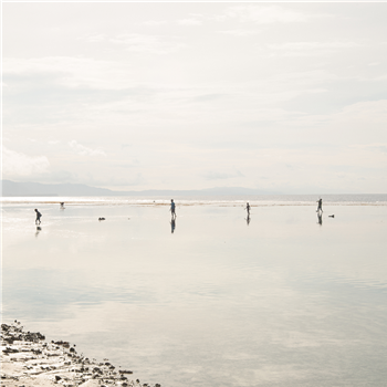 Giuseppe Ielasi & Riccardo D. Wanke - With Time, We Learned To Ask Less - Hallow Ground Giuseppe Ielasi & Riccardo D. Wanke - With Time, We Learned To Ask Less - Hallow Ground