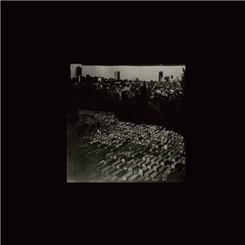 Max Schreiber - Variations On Memory Vol. 2 LP - Confused Machines Max Schreiber - Variations On Memory Vol. 2 LP - Confused Machines
