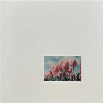 ST01 (feat Celestial, E/Tape & O.utlier, OKRAA, Sholto, Hector Plimmer) (limited 2xLP + booklet) - Space Talk