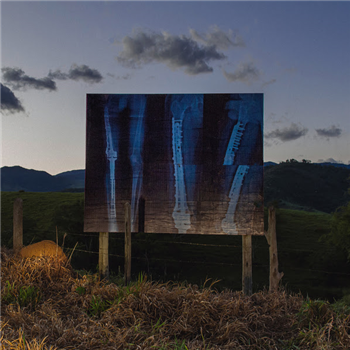 Bruno Tonisi - Sensational Conversations - Lugar Alto Bruno Tonisi - Sensational Conversations - Lugar Alto