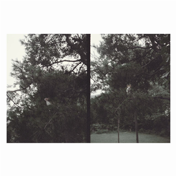 Okkyung Lee - just like any other day : background music for your mundane activities - Shelter Press Okkyung Lee - just like any other day : background music for your mundane activities - Shelter Press
