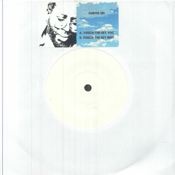 ICONS OF HIP HOP - Touch The Sky - Curtis 
