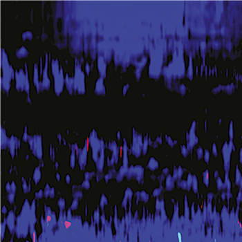 Valentino Mora - Biotope - 2x12" - Spazio Disponibile
