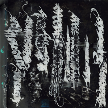 Special Guest DJ - Our Fantasy Complex - LP - 3XL