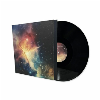 Angela Winter - Forbidden Questions In Space (LP) - Past Inside The Present