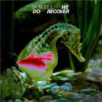 Powell - We Do Recover - 2x12" - Diagonal Records Powell - We Do Recover - 2x12" - Diagonal Records