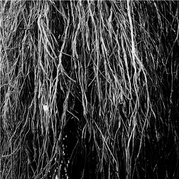 Eraldo Bernocchi, Iggor Cavalera, & Merzbow - Nocturnal Rainforest - Pan Eraldo Bernocchi, Iggor Cavalera, & Merzbow - Nocturnal Rainforest - Pan