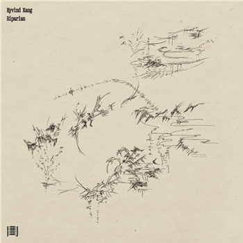 Eyvind Kang - Riparian - KOU RECORDS