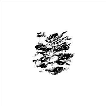 Borgesian Term - False 06 - False Aralia Borgesian Term - False 06 - False Aralia