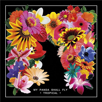 MY PANDA SHALL FLY - Tropical (LP inc. Download Code) - Soundway Records