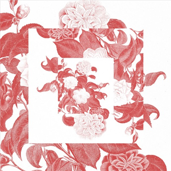 White Gardenia Vol.2 - Va - JAZZ-O-TECH White Gardenia Vol.2 - Va - JAZZ-O-TECH