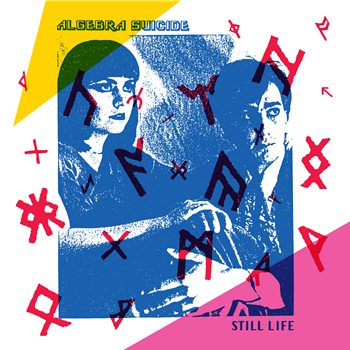 Algebra Suicide - Still Life - Dark Entries Algebra Suicide - Still Life - Dark Entries