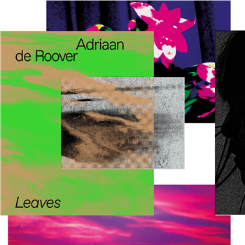 ADRIAAN DE ROOVER - LEAVES - LEAVES