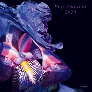 Various Artists - Pop Ambient 2020 - Kompakt