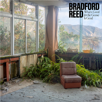Bradford Reed - Whats Good for the Goose is Good - YOUNGBLOODS
