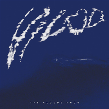 Vilod - The Clouds Know - MANA
